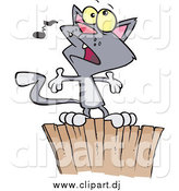 Cartoon Vector Clipart of a Gray Cat Singing on a Fence by Toonaday